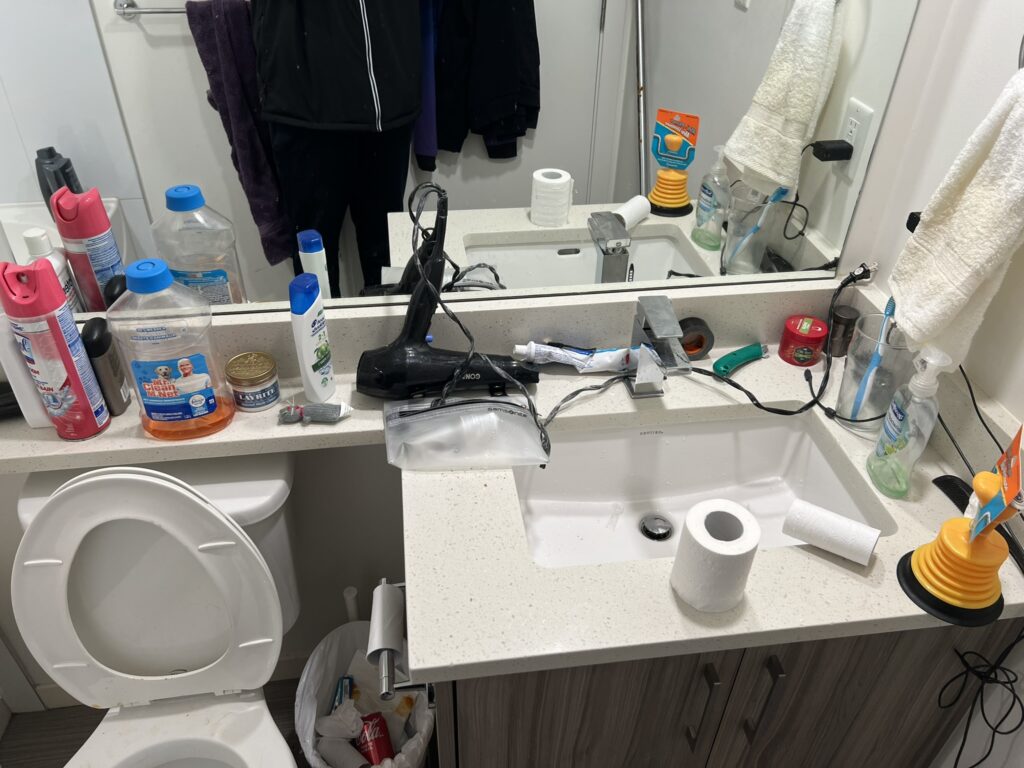 bathroom cleaning before
