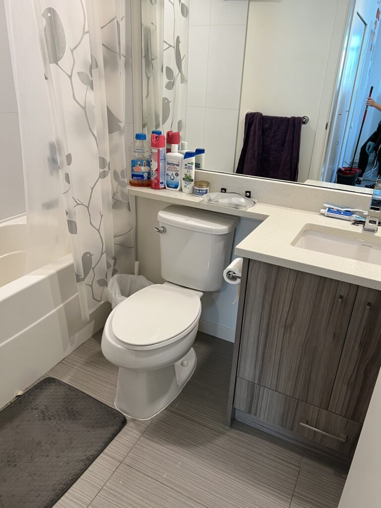 bathroom deep cleaning in new wesmintster after