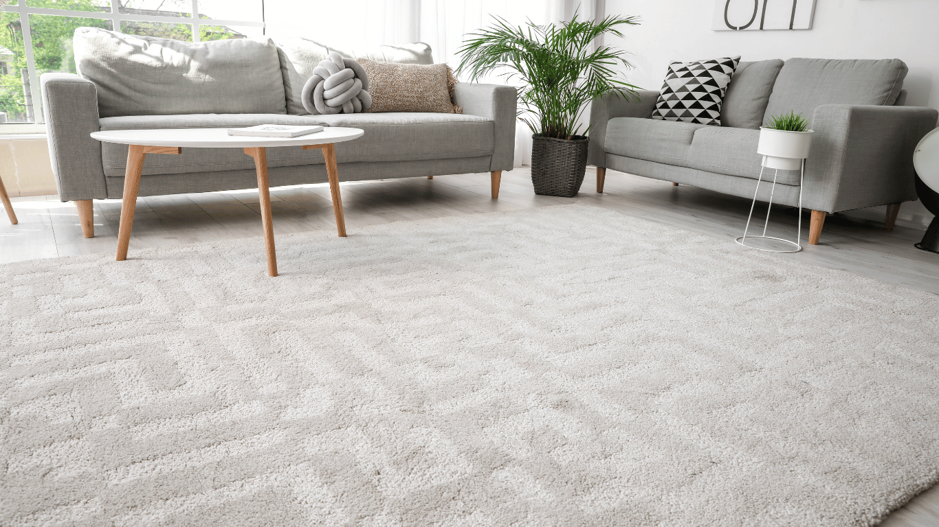 How to remove carpet stains