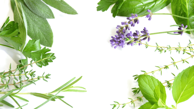 I Maid It - how to get rid of house flies naturally​