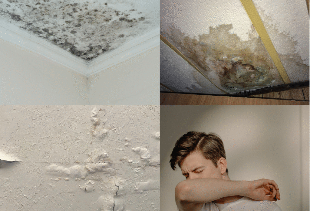 effects of condensation and molds on bathroom ceiling