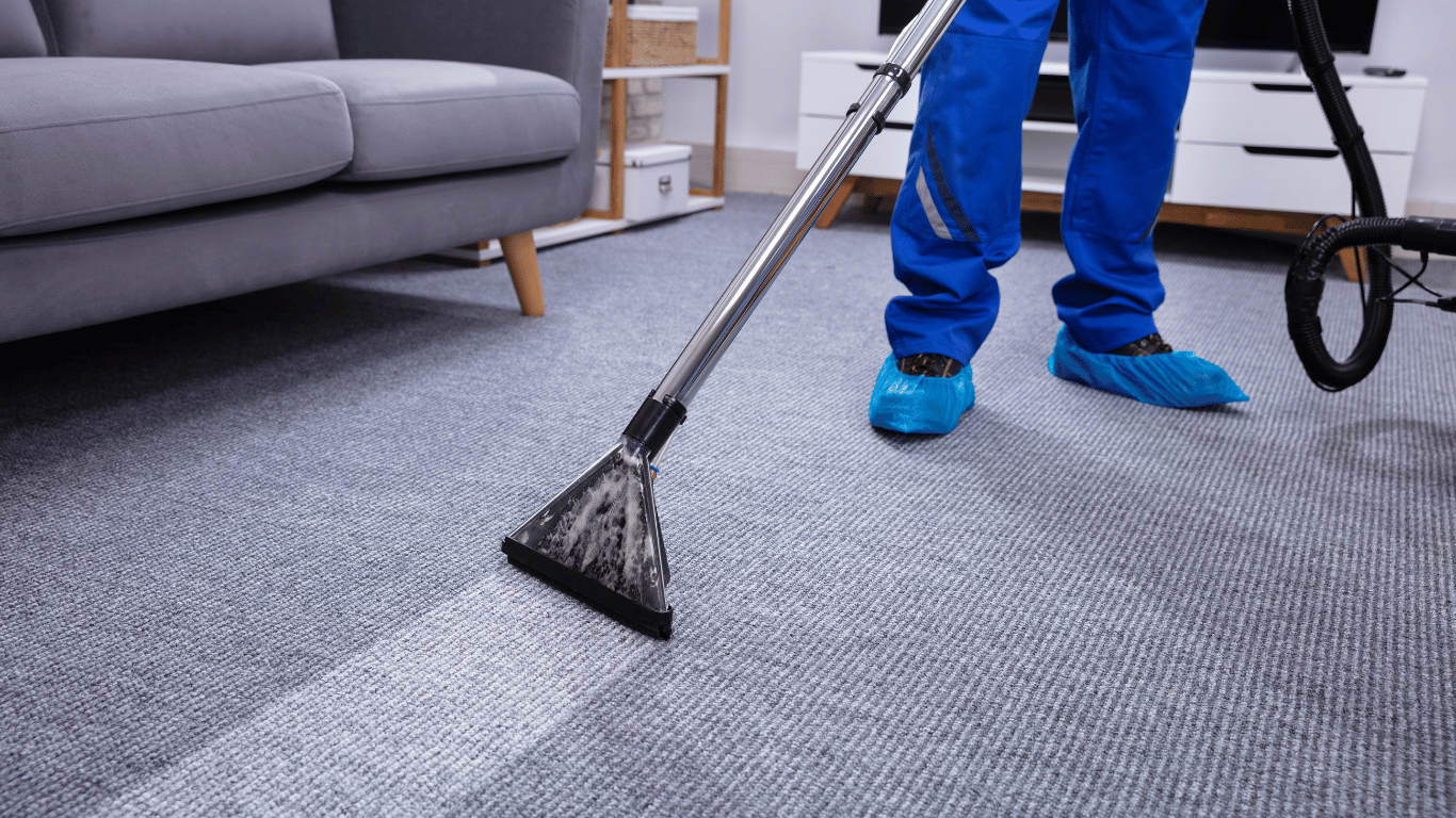 carpet cleaning rates