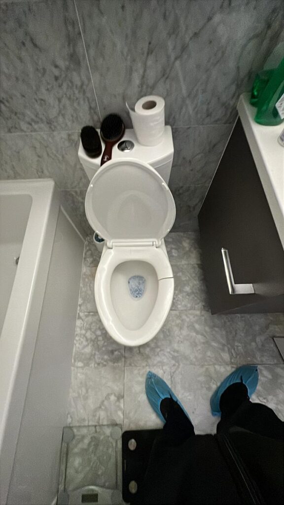 House Cleaning bathroom in White Rock