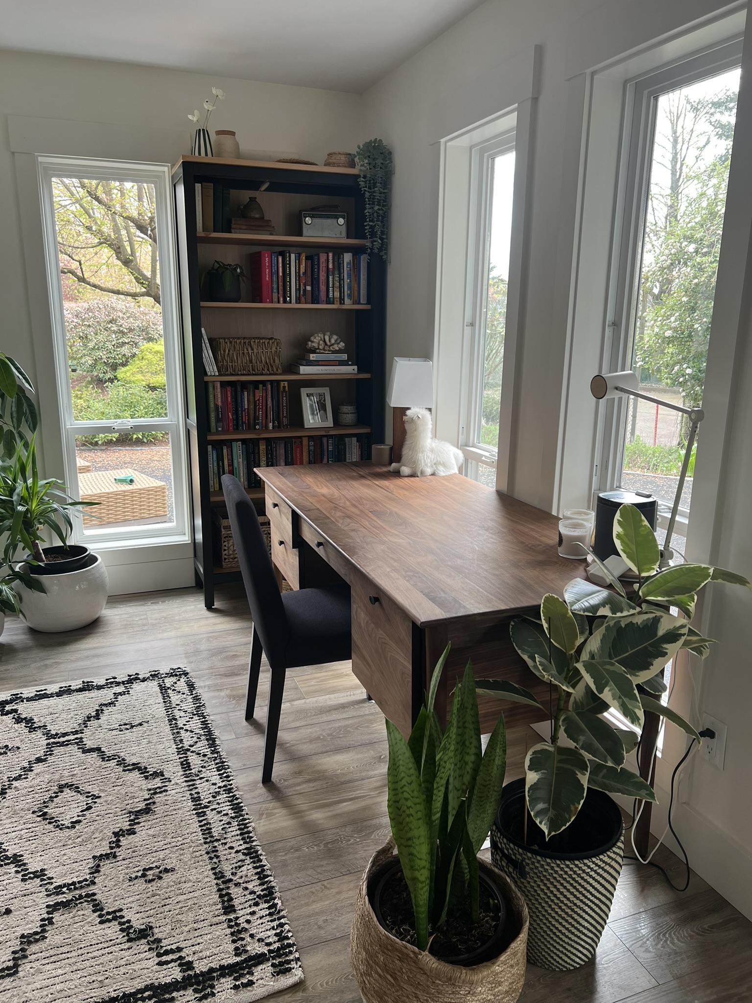 Cleaning Services Coquitlam